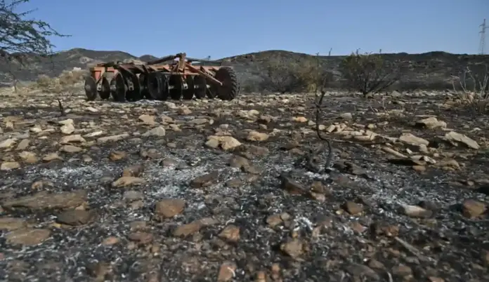 FOTOGRAFÍA. LOS GALLARDOS (ALMERÍA) ANDALUCÍA (ESPAÑA), 11 DE JULIO DE 2026. De la contención al ataque directo contra las llamas en Los Gallardos. Restos calcinados del incendio de los Gallardos en Almería. Efe