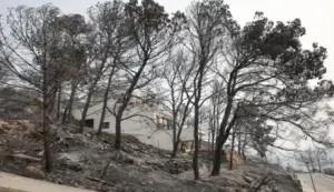 FOTOGRAFÍA. LA VILAVELLA (CASTELLÓN) COMUNIDAD VALENCIANA (ESPAÑA), 26 DE JULIO DE 2026. España afronta nuevos incendios, fuegos de Sexta Generación o Megaincendios. Vista de una casa quemada en la zona residencial Santa Bárbara del municipio español de La Vilavella, Castellón, por un incendio forestal que ha obligado a evacuar a más de 16.000 personas. Efe