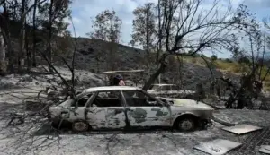 FOTOGRAFÍA. LOS GALLARDOS (ALMERÍA) ANDALUCÍA (ESPAÑA), 12 DE JULIO DE 2026. Estabilizado el incendio en Los Gallardos: 1.000 personas aún desalojadas. Varios vehículos calcinados en Los Gallardos, Almería., Almería, Comunidad Autónoma de Andalucía, España. Efe