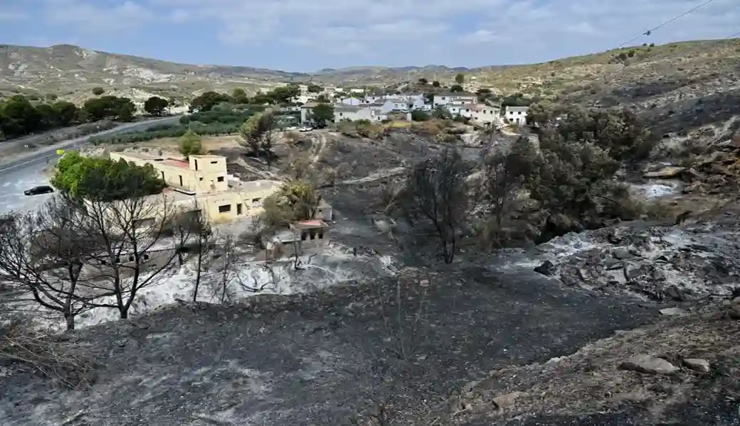 FOTOGRAFÍA. LOS GALLARDOS (ALMERÍA) ANDALUCÍA (ESPAÑA), 12 DE JULIO DE 2026. Estabilizado el incendio en Los Gallardos: 1.000 personas aún desalojadas. Terreno calcinado junto al restaurante Anita en Los Gallardos, Almería, Comunidad Autónoma de Andalucía, España. Efe