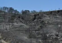 FOTOGRAFÍA. BEDA (PROVINCIA DE ALMERÍA) ANDALUCÍA (ESPAÑA), 11 DE JULIO DE 2026. Incendio Almería: 20 personas no localizadas y 12 fallecidos. Vista del área calcinada en el municipio almeriense de Béda. La superficie afectada por el incendio forestal originado en Los Gallardos (Almería), con doce fallecidos, se ha elevado a 6.600 hectáreas por los avances registrados durante la pasada jornada, que obligaron a ampliar el perímetro ante la presencia de focos y frentes muy activos. Efe
