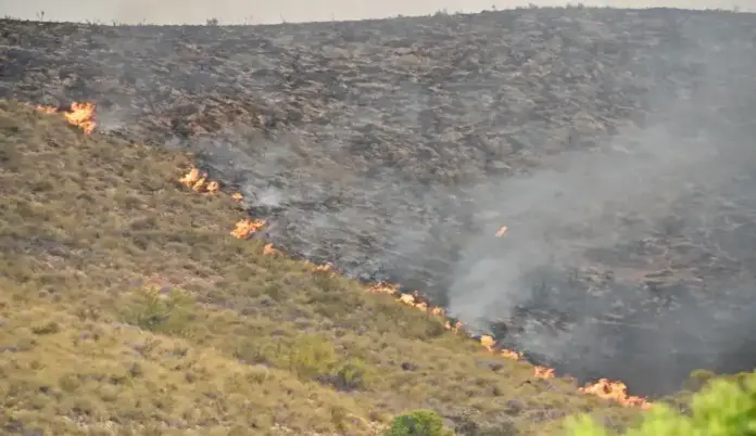 Incendio Los Gallardos, 12 fallecidos y 23 desaparecidos FOTOGRAFÍA. LOS GALLARDOS (ALMERÍA) ANDALUCÍA (ESPAÑA), 10 DE JULIO DE 2026. Incendio Los Gallardos: 12 fallecidos y 23 desaparecidos. Vista de uno de los focos del incendio forestal declarado en Los Gallardos, Almería. Efe