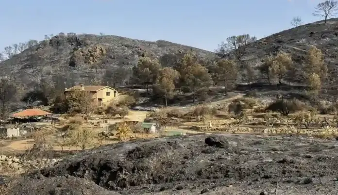 FOTOGRAFÍA. BÉDAR (ALMERÍA) ANDALUCÍA (ESPAÑA), 12 DE JULIO DE 2026. Incendio Los Gallardos: Muere una británica con patologías previas. Vista de los daños causados por el incendio declarado en Los Gallardos, este domingo en Bédar, Almería. Efe