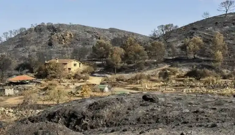 FOTOGRAFÍA. BÉDAR (ALMERÍA) ANDALUCÍA (ESPAÑA), 12 DE JULIO DE 2026. Incendio Los Gallardos: Muere una británica con patologías previas. Vista de los daños causados por el incendio declarado en Los Gallardos, este domingo en Bédar, Almería. Efe