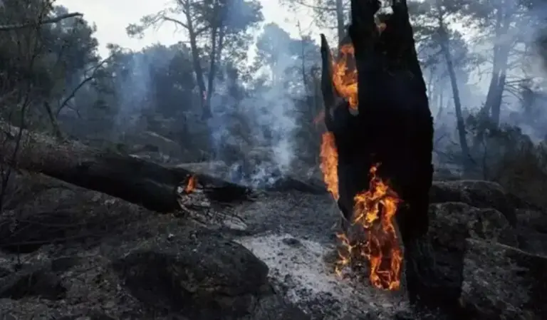 FOTOGRAFÍA. BURGOHONDO (ÁVILA) CASTILLA Y LEÓN (ESPAÑA), 26 DE JULIO DE 2026. Incendios España, solo tres países se suman a las tareas de extinción. Zonas quemadas en los alrededores de el embalse de El Burguillo por el incendio que se originó en Burgohondo, en la provincia española de Ávila. Efe
