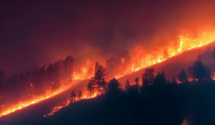 FOTOGRAFÍA. FECHA Y LUGAR RELACIONADOS CON EL CONTENIDO, SEVILLA (ANDALUCÍA) ESPAÑA, 28 DE JULIO DE 2026. Incendios, US: Es fundamental que aprendamos a convivir con el fuego. Los grandes incendios a los que estamos asistiendo van a seguir formando parte del paisaje mediterráneo, por eso "es fundamental que aprendamos a convivir con el fuego", es la opinión de Jordán, a raíz del incendio de Ávila que ya ha calcinado más de 50.000 hectáreas y se ha erigido como el mayor fuego en España desde que hay registros. Lasvocesdelpueblo (Ñ Pueblo)