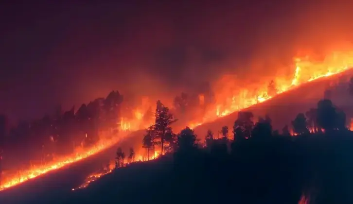 FOTOGRAFÍA. FECHA Y LUGAR RELACIONADOS CON EL CONTENIDO, SEVILLA (ANDALUCÍA) ESPAÑA, 28 DE JULIO DE 2026. Incendios, US: Es fundamental que aprendamos a convivir con el fuego. Los grandes incendios a los que estamos asistiendo van a seguir formando parte del paisaje mediterráneo, por eso "es fundamental que aprendamos a convivir con el fuego", es la opinión de Jordán, a raíz del incendio de Ávila que ya ha calcinado más de 50.000 hectáreas y se ha erigido como el mayor fuego en España desde que hay registros. Lasvocesdelpueblo (Ñ Pueblo)