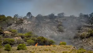 FOTOGRAFÍA. LOS GALLARDOS (ALMERÍA) ANDALUCÍA (ESPAÑA), 11 DE JULIO DE 2026. Posible estabilización del fuego de Los Gallardos en próximas horas. Vista del área calcinada en el municipio almeriense de Los Gallardos, Comunidad Autónoma de Andalucía, España. Efe