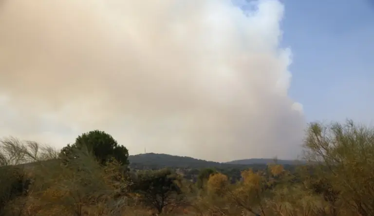 FOTOGRAFÍA. PELAYOS DE LA PRESA (COMUNIDAD DE MADRID) ESPAÑA, 24 DE JULIO DE 2026. El incendio de Pelayos de la Presa calcina alrededor de 6.000 hectáreas. Columna de humo producida por el incendio que se mantiene activo en la localidad madrileña de Pelayos de la Presa, este viernes. Efe