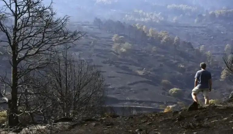 FOTOGRAFÍA. BURGOHONDO (ÁVILA) CASTILLA Y LEÓN (ESPAÑA), 29 DE JULIO DE 2026. Jornada complicada del incendio de Ávila por la llegada de la cuarta ola de calor. Un hombre observa uno de los pinares arrasados por el incendio de Burgohondo (Ávila) en el Parque Natural del Valle de Iruelas. Efe