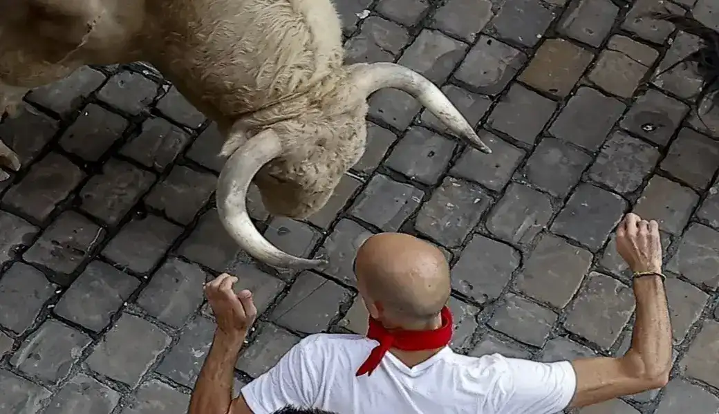 FOTOGRAFÍA. PAMPLONA (NAVARRA) ESPAÑA, 07 DE JULIO DE 2026. Carrera rápida y emocionante sin heridos por asta de Sanfermines 2026. Un mozo ante uno de los toros de la ganadería Fuente Ymbro a su paso por la Plaza Consistorial en el primer encierro. Efe
