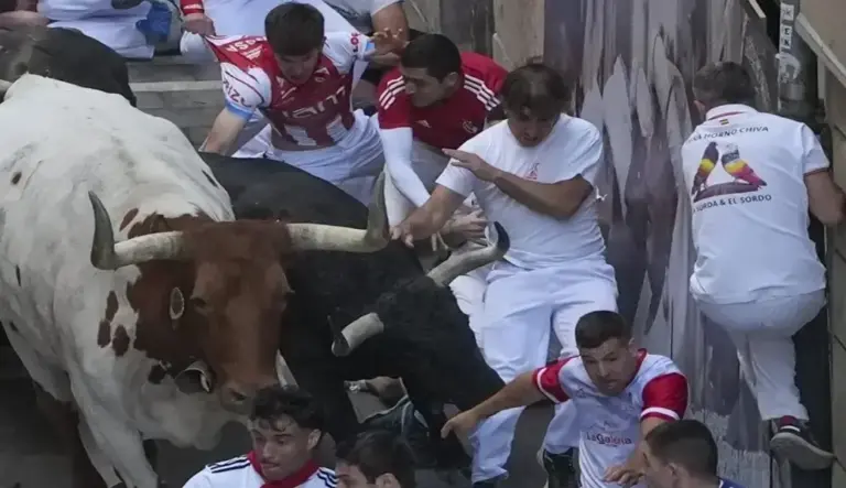 FOTOGRAFÍA. PAMPLONA (NAVARRA) ESPAÑA, 07 DE JULIO DE 2026. Carrera rápida y emocionante sin heridos por asta de Sanfermines 2026. Varios mozos perseguidos por un cabestro y uno de los toros de la ganadería gaditana de Fuente Ymbro. Efe
