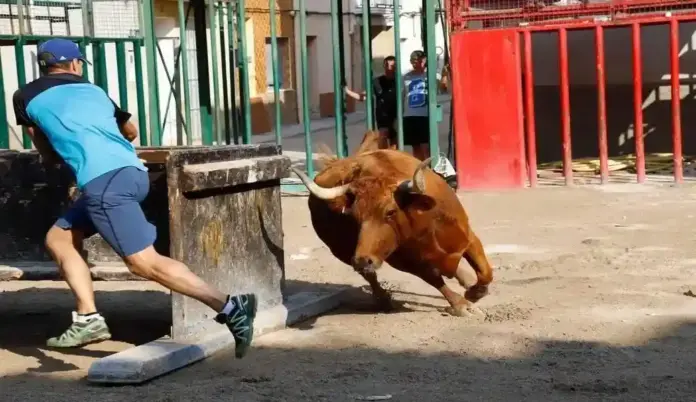 FOTOGRAFÍA. TÍRIG (CASTELLÓN) COMUNIDAD VALENCIANA (ESPAÑA), 02 DE AGOSTO DE 2026. La plataforma Defensa Animal reclama al Ayuntamiento de Tírig dejar de autorizar para siempre los actos taurinos tras la trágica muerte de un joven, de 21 años, tras ser accidentado durante estos actos. Lasvocesdelpueblo (Ñ Pueblo)