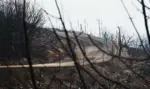 FOTOGRAFÍA. LUGAR Y FECHA RELACIONADOS CON EL CONTENIDO: MADRID (ESPAÑA), 14 DE AGOSTO DE 2026. Los incendios forestales han afectado a más de 240.785 hectáreas en España en lo que va de 2026, según los últimos datos provisionales facilitados este viernes, 14 de agosto, por el Ministerio para la Transición Ecológica y el Reto Demográfico (MITECO). En este periodo se han registrado además 42 grandes incendios forestales (GIF). Efe