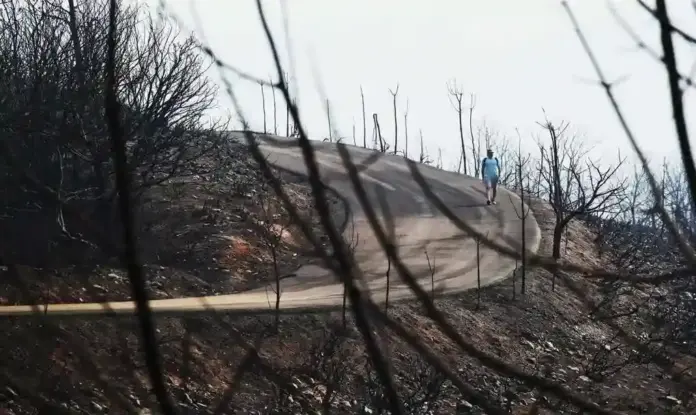 Los incendios afectan a más de 240.785 hectáreas en España en 2026 FOTOGRAFÍA. LUGAR Y FECHA RELACIONADOS CON EL CONTENIDO: MADRID (ESPAÑA), 14 DE AGOSTO DE 2026. Los incendios forestales han afectado a más de 240.785 hectáreas en España en lo que va de 2026, según los últimos datos provisionales facilitados este viernes, 14 de agosto, por el Ministerio para la Transición Ecológica y el Reto Demográfico (MITECO). En este periodo se han registrado además 42 grandes incendios forestales (GIF). Efe